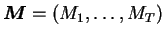 $ \boldsymbol{M}= (M_1, \ldots, M_T)$