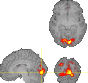 \includegraphics[height=6cm]{images/visualize_activation.eps}