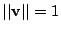 $ \vert\vert\mathbf{v}\vert\vert = 1$