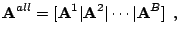 $\displaystyle \mathbf{A}^{all} = [\mathbf{A}^1\vert\mathbf{A}^2\vert\cdots\vert\mathbf{A}^B] \:\:\textrm{,}$